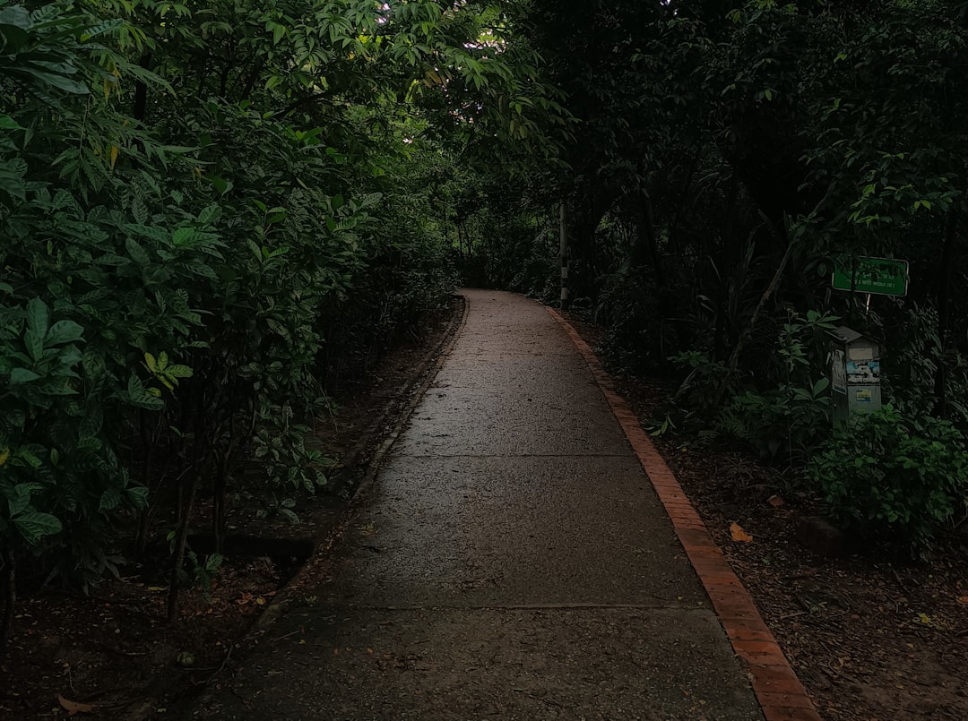 O Caminho do Gigante: Arte e Natureza em Harmonia - 44 Causeway Rd | Secret World Trip Planner