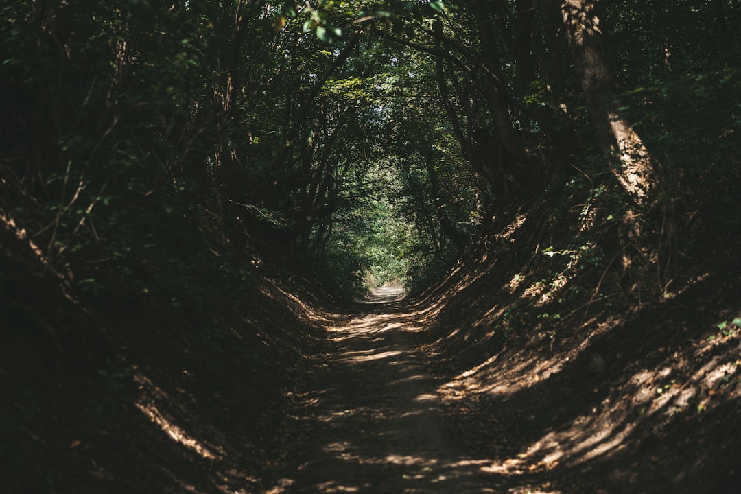 거인의 길: 예술과 자연의 조화 - 44 Causeway Rd | Secret World Trip Planner