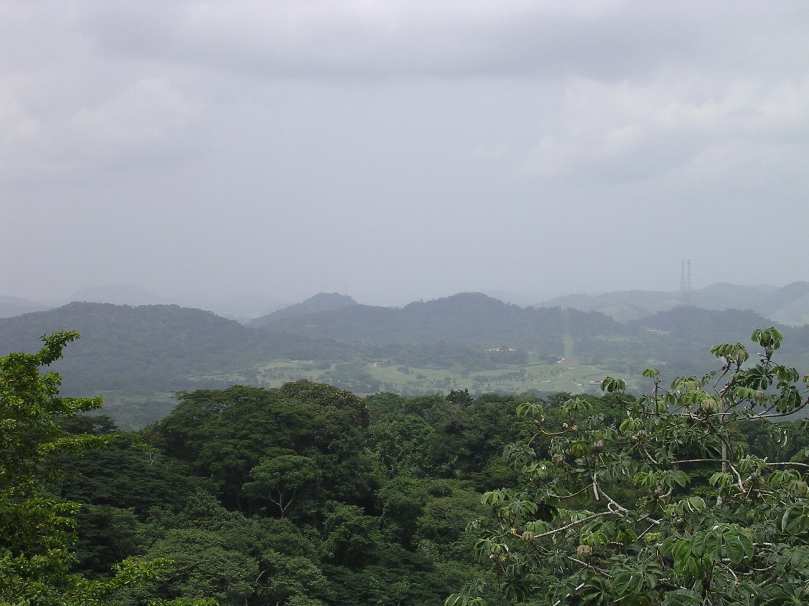 Scopri il Canopy Tower: un'esperienza unica in Panama - Panama City | Secret World Trip Planner