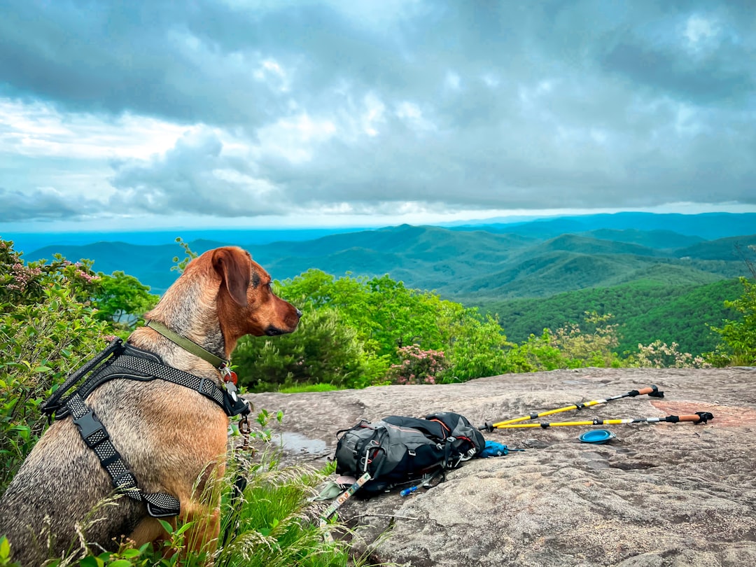 Découvrez le Sentier National des Appalaches - Appalachian National Scenic Trail | Secret World Trip Planner