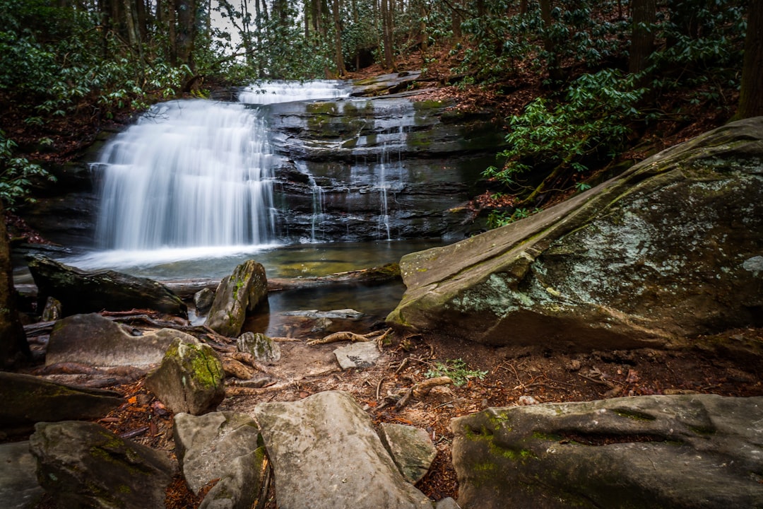 Откройте для себя Аппалачскую тропу - Appalachian National Scenic Trail | Secret World Trip Planner