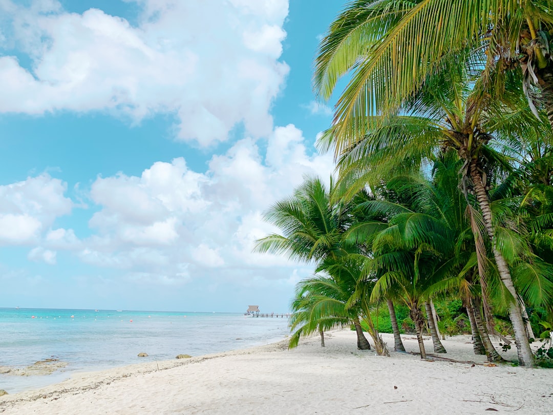 Cozumel: An Island Paradise in the Heart of the Caribbean - Cozumel | Secret World Trip Planner