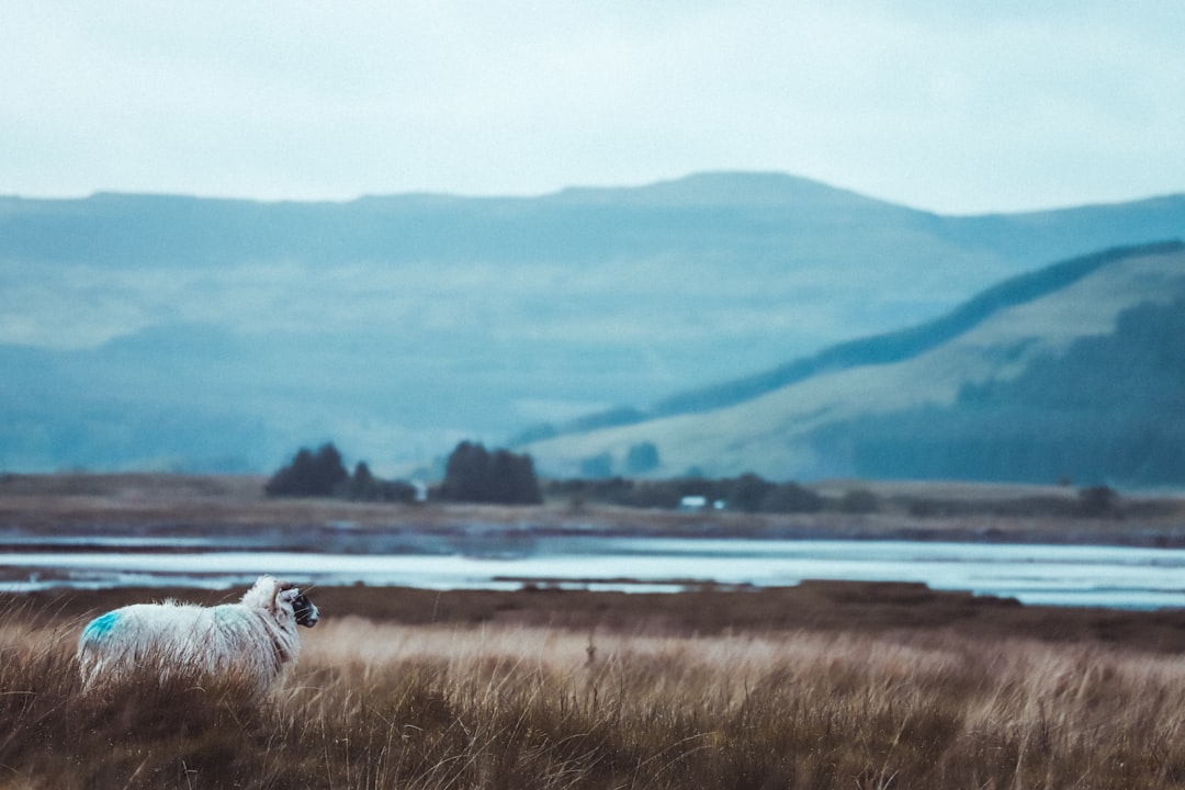 Mull : L'île sauvage de l'Écosse — Mull