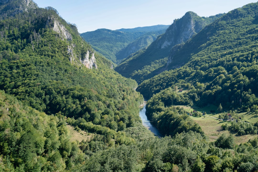 Scopri il Fascino del Tara Canyon in Montenegro - Tepca | Secret World Trip Planner