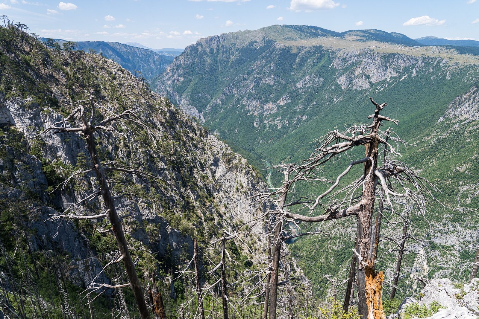 Scopri il Fascino del Tara Canyon in Montenegro - Tepca | Secret World Trip Planner