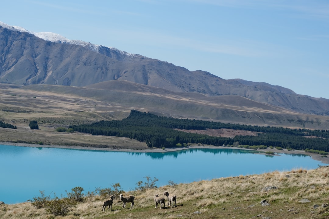 Osservare le stelle al Mt John Observatory - Tekapo 7999 | Secret World Trip Planner