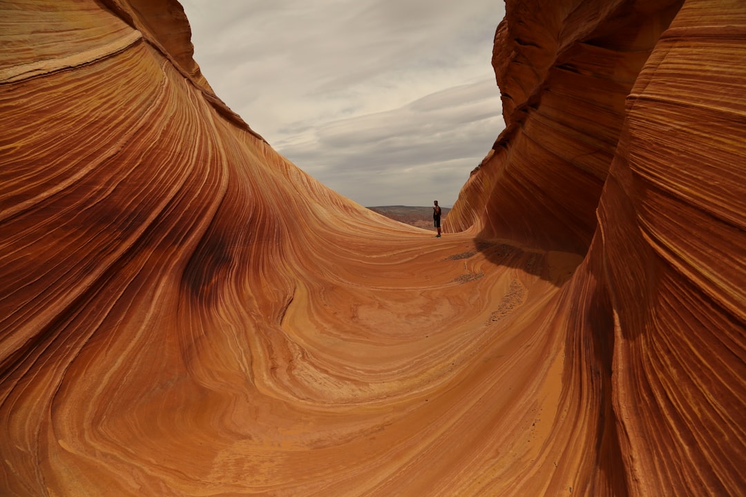 The Wave: A Natural Masterpiece in Kanab - Kanab | Secret World Trip Planner