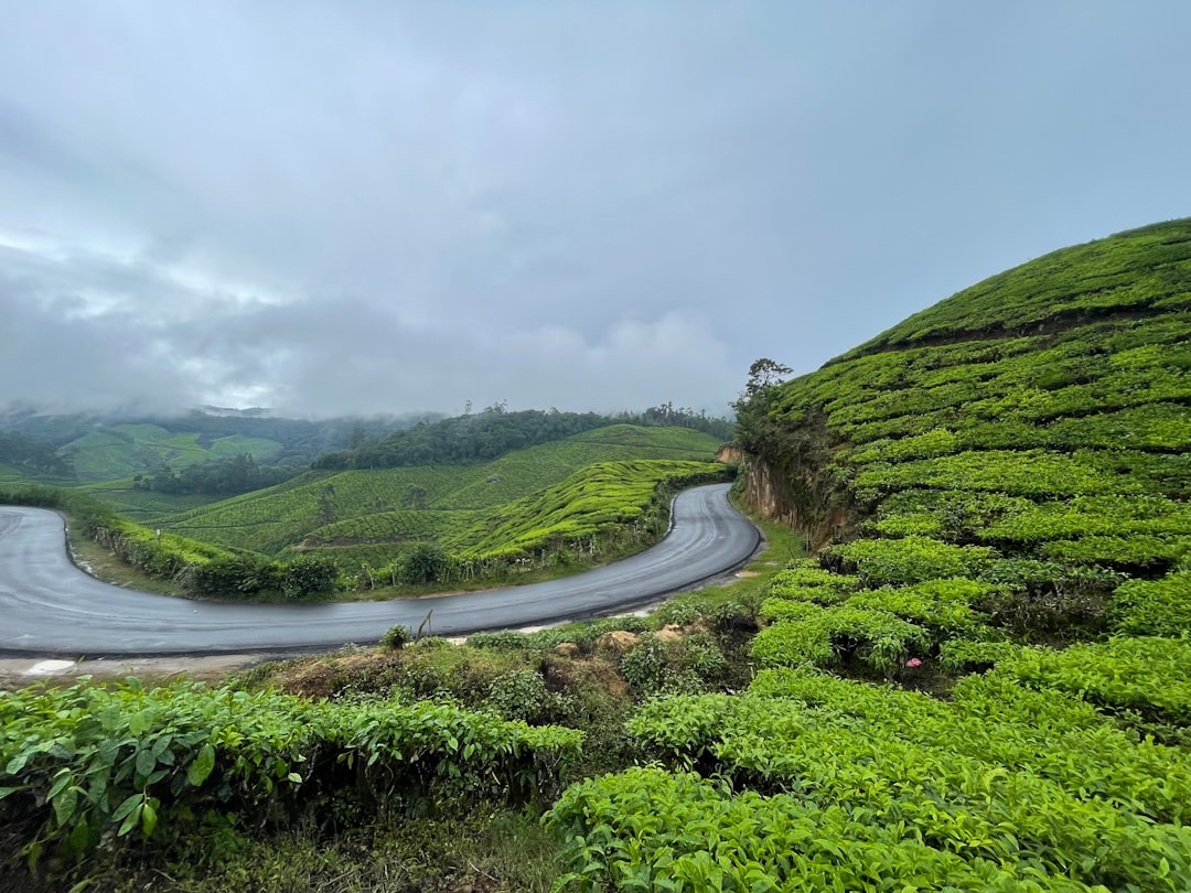 Munnar: Un Paradiso Tra le Piantagioni di Tè - Munnar | Secret World Trip Planner
