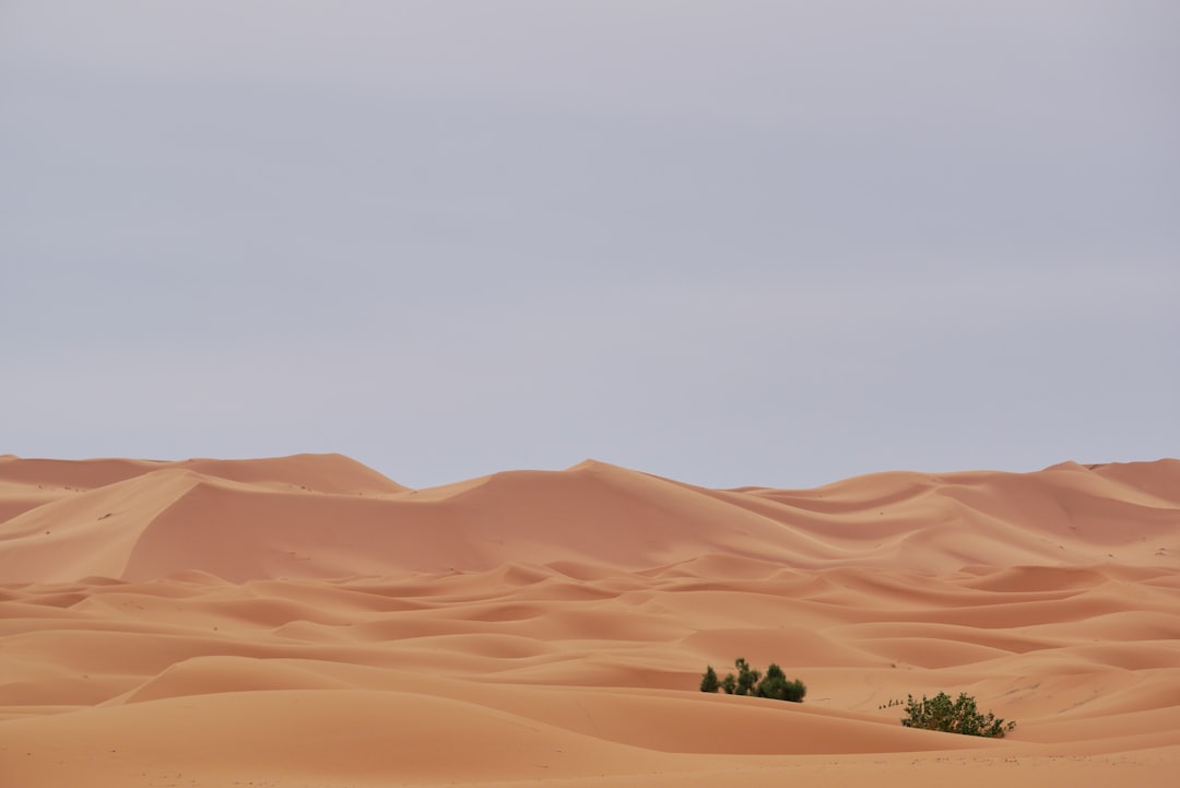 Merzouga: Magic and Silence in the Sahara Desert - Merzouga | Secret World Trip Planner