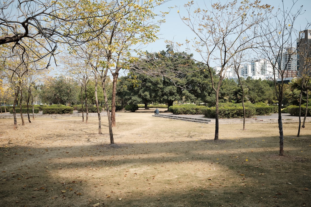Entdecke den Parco Giardino Sigurtà: Ein Grünes Paradies - 1 | Secret World Trip Planner