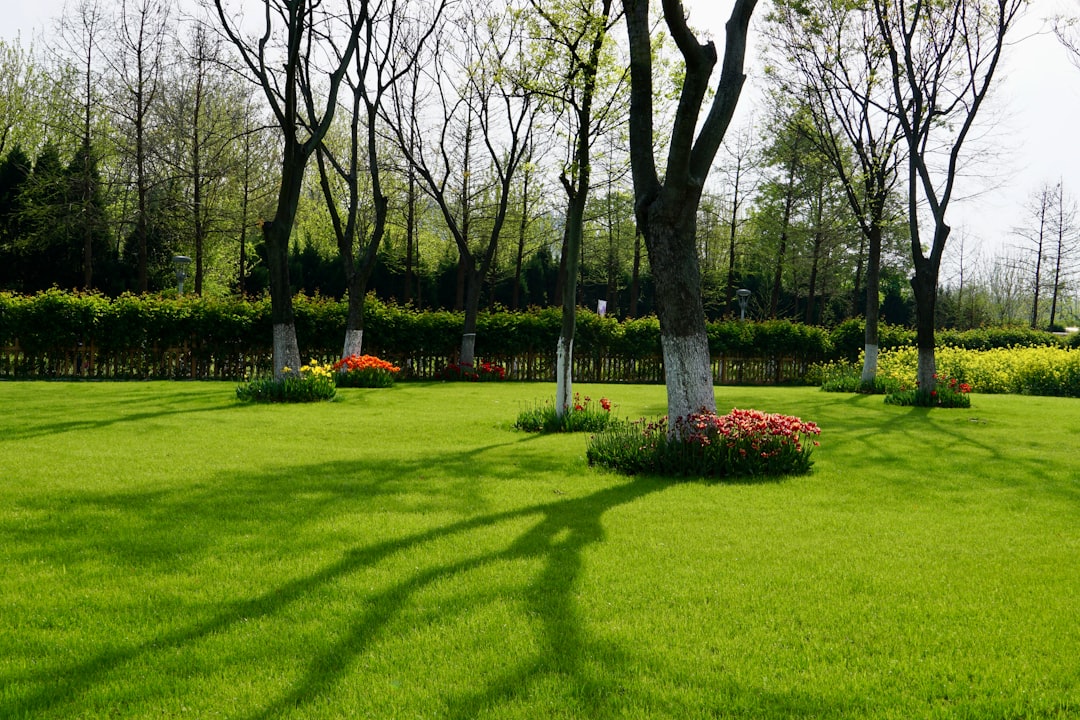 Descubre el Parque Jardín Sigurtà: un Paraíso Verde - 1 | Secret World Trip Planner
