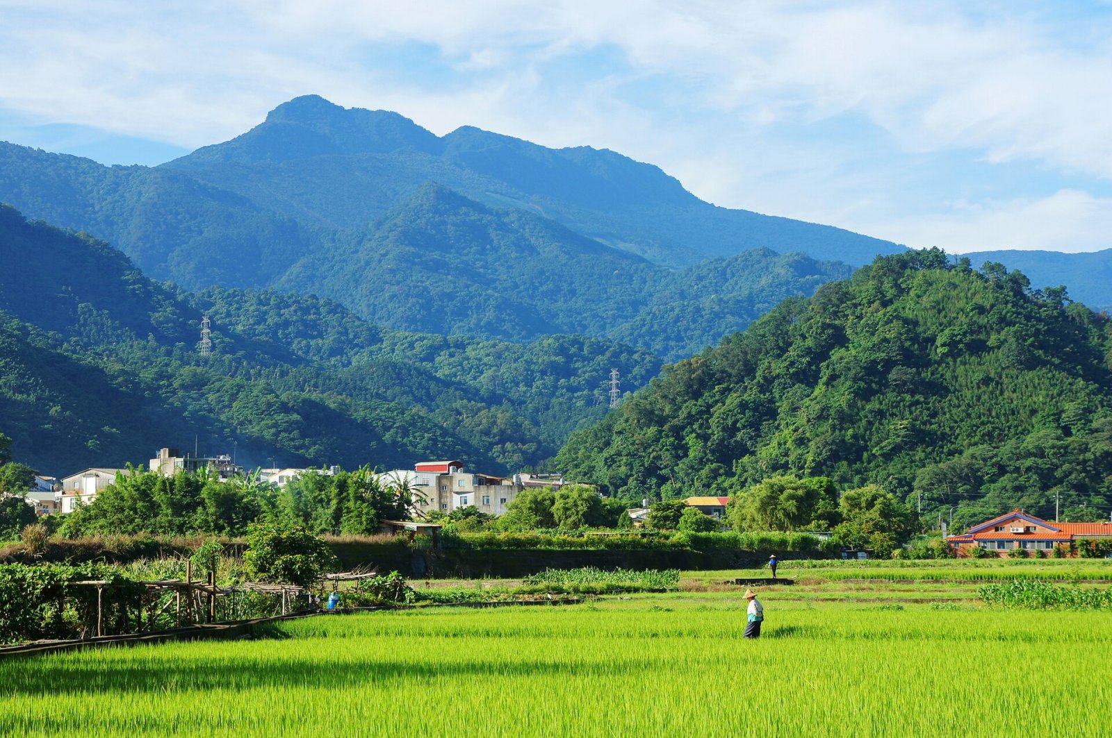 Scopri la Magia della Catena Montuosa di Jialishan in Taiwan - Meiyuan Village | Secret World Trip Planner