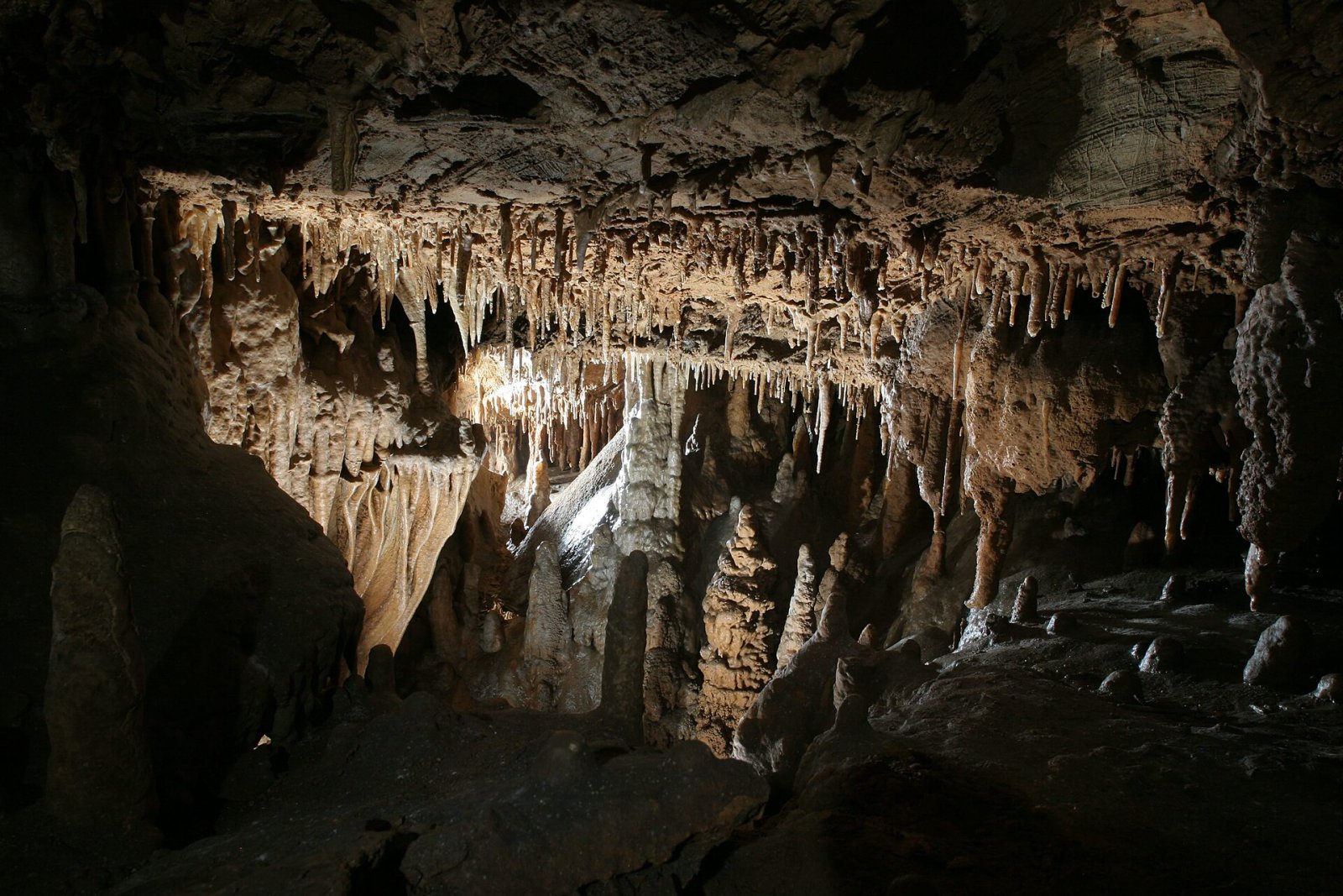 Explore the Magic of Nodong Cave in South Korea - Danyang-gun | Secret World Trip Planner