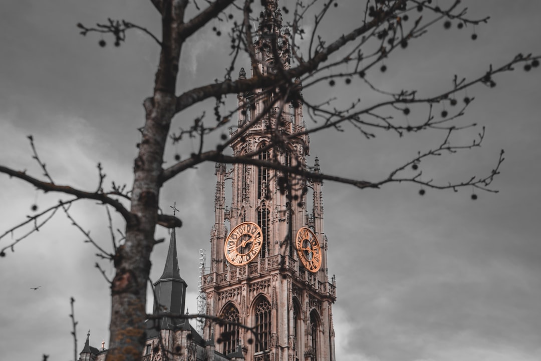 Scopri la Cattedrale di Anversa: un tesoro di cultura e storia - Grote Markt 58 | Secret World Trip Planner