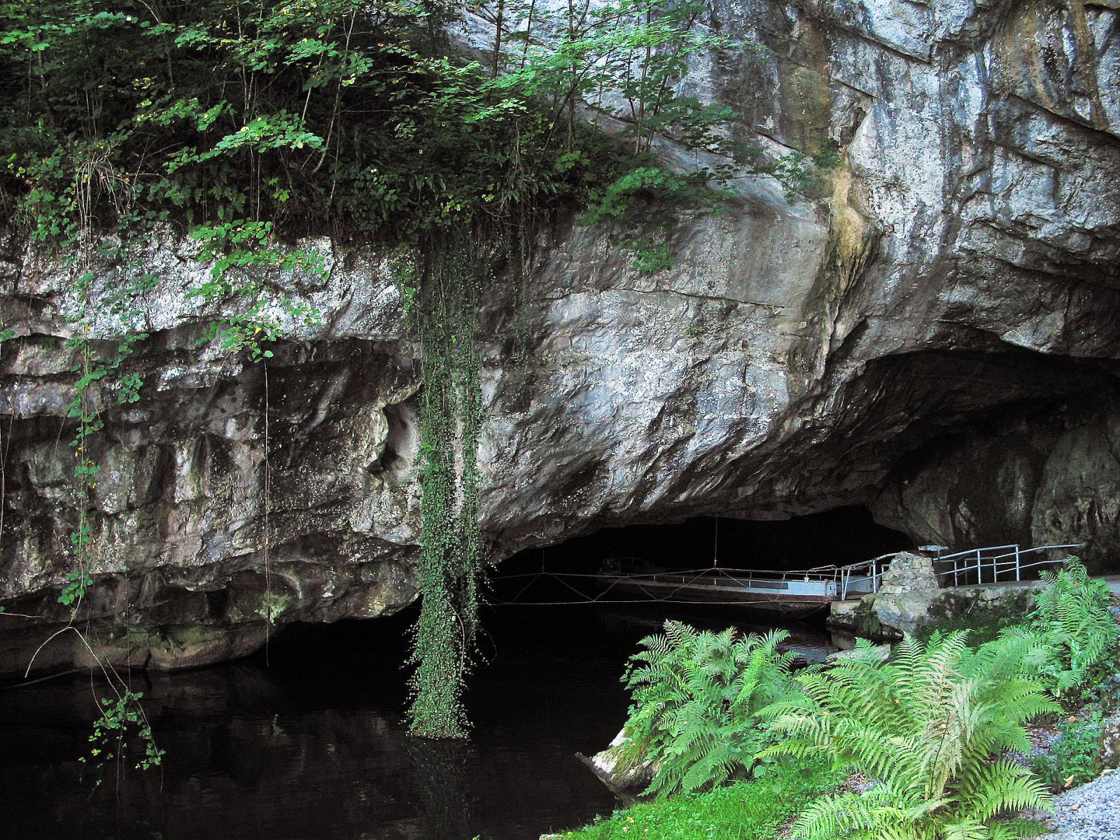 Esplorando le Magiche Grotte di Han-sur-Lesse in Belgio — 458M+M8 Rochefort