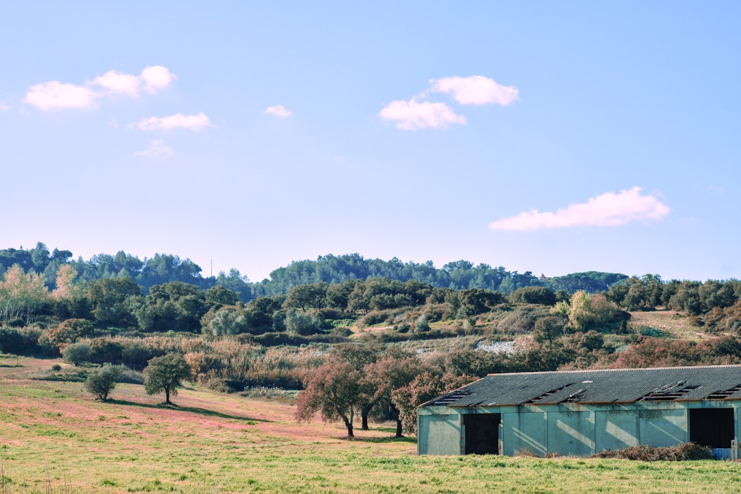 Scopri la bellezza del Parco Naturale dell'Arrábida | Secret World Trip Planner
