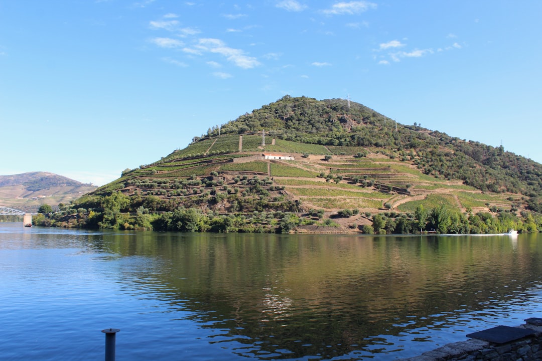 Scopri la Magia della Douro Valley Wine Region a Pinhão | Secret World Trip Planner