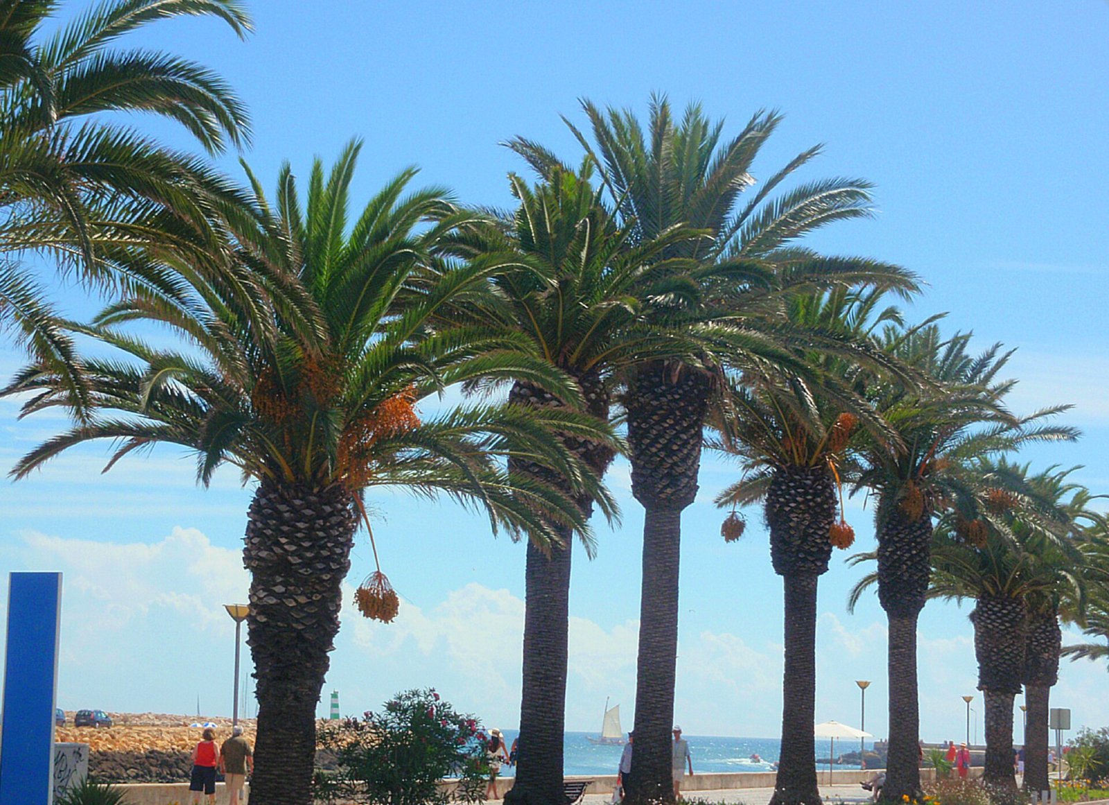 Discover the Charm of the Algarve in Lagos: Nature and Adventure | Secret World Trip Planner