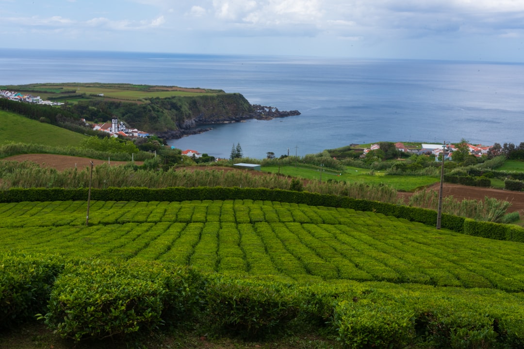 Discover Ponta Delgada: The Gateway to the Azores | Secret World Trip Planner