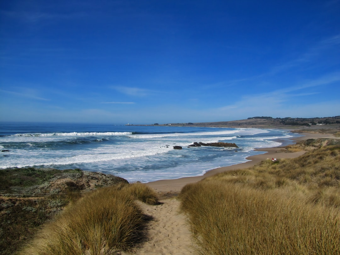 Il Faro di Pigeon Point: Un Faro nella Storia della California - Pescadero | Secret World Trip Planner