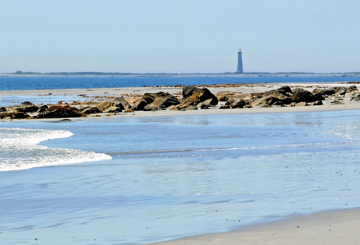Wild Beauty at Cape Sable Lighthouse - The Hawk | Secret World Trip Planner