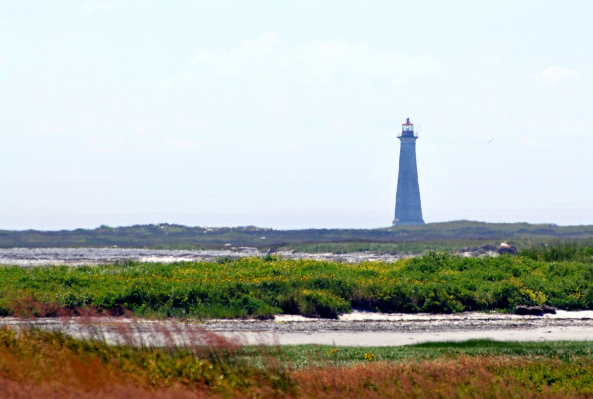 Beauté Sauvage au Phare de Cape Sable - The Hawk | Secret World Trip Planner