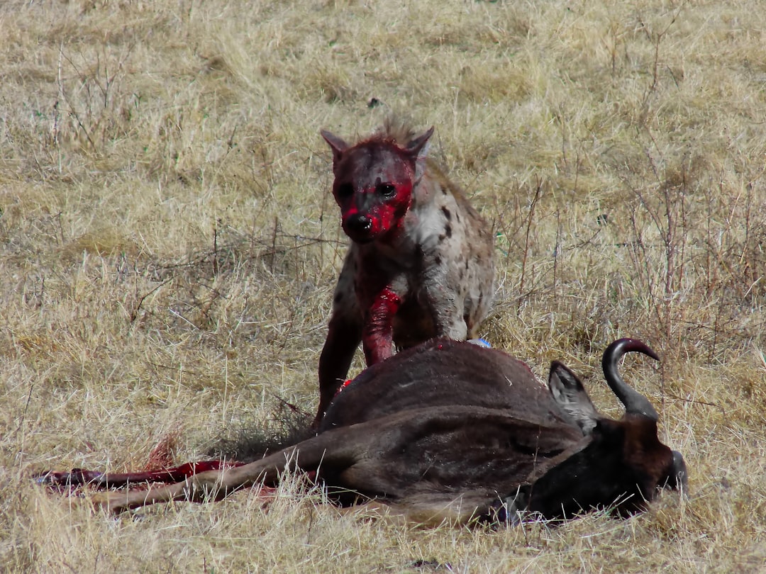Scoprendo le Grotte del Cratere di Ngorongoro - B144 | Secret World Trip Planner