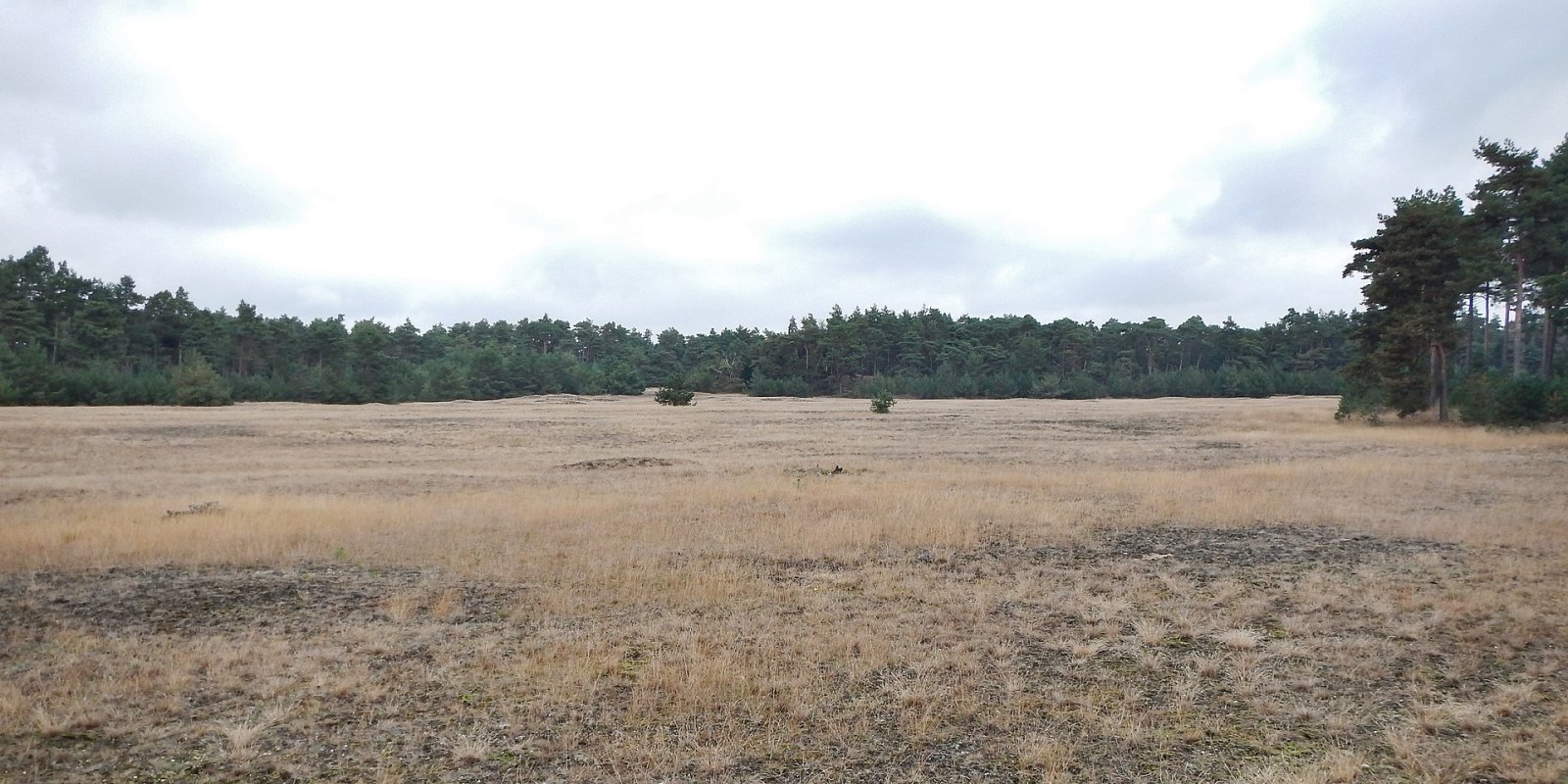 Découvrez la beauté du Parc National Hoge Veluwe - Otterlo | Secret World Trip Planner