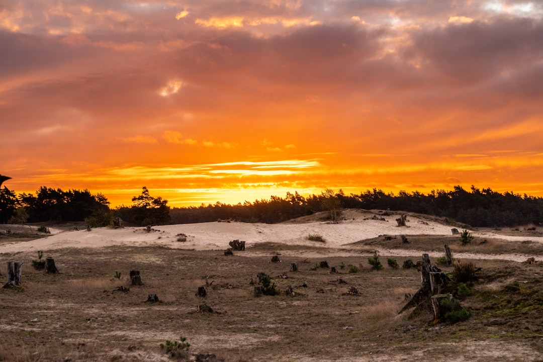 Descubre la belleza del Parque Nacional Hoge Veluwe - Otterlo | Secret World Trip Planner