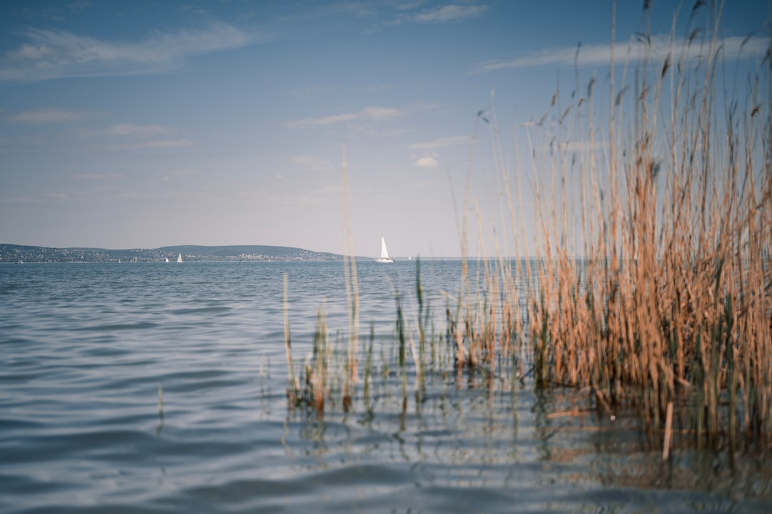 发现巴拉顿湖：匈牙利的自然天堂 - Balatonfüred | Secret World Trip Planner