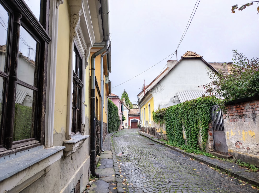 Entdecken Sie Szentendre: Das Künstlerdorf in Ungarn - Szentendre | Secret World Trip Planner