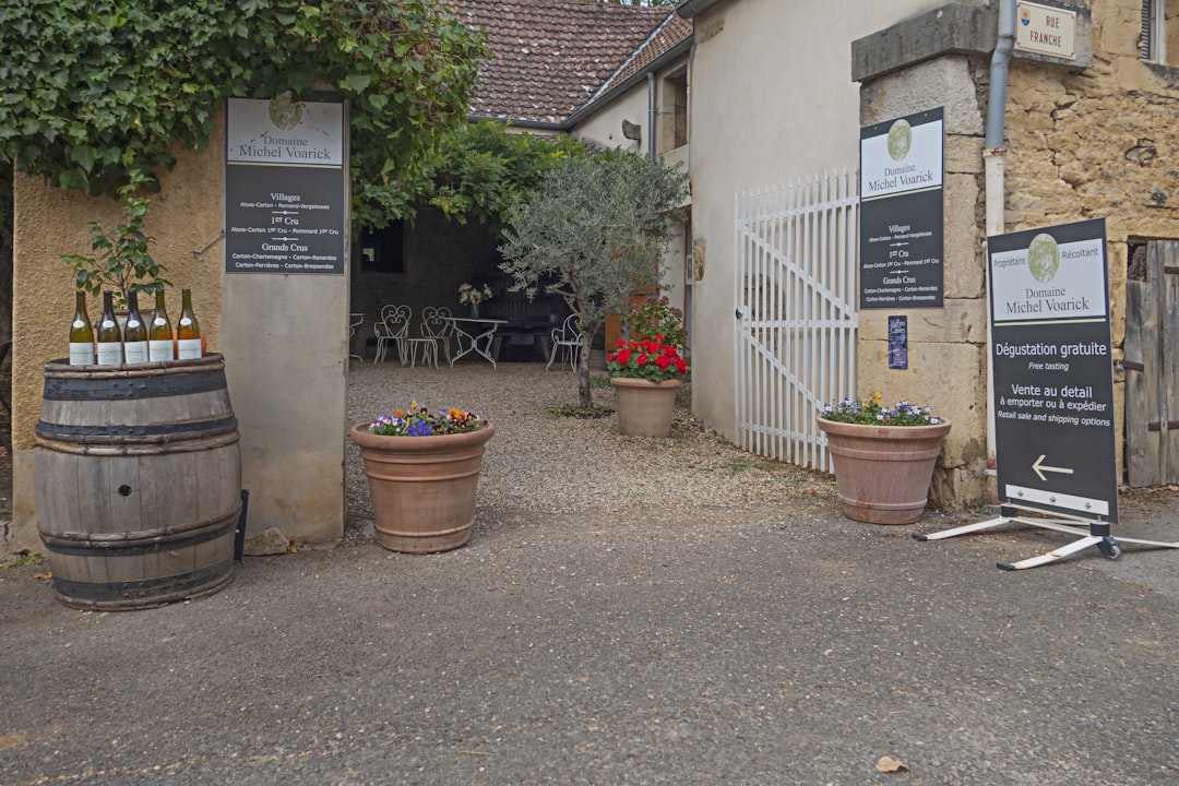 Découvrir la Côte-d'Or : La Magie des Vins de Bourgogne - Côte-d'Or | Secret World Trip Planner