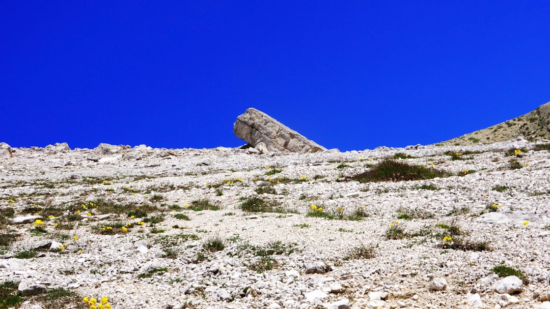 Cerro Tololo Observatory: A Paradise for Astronomers — Vicuña