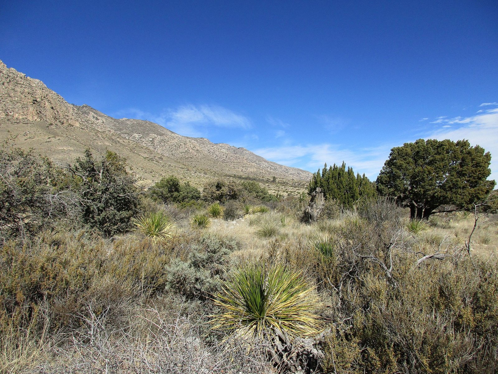 Guadalupe Mountains National Park: un tesoro naturale del Texas — Mianyang