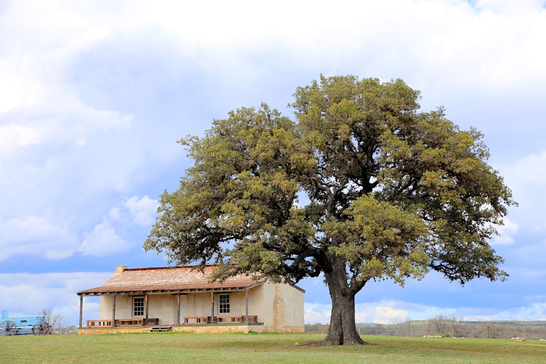 Discover Texas Hill Country: A Journey to Fredericksburg - Chamdo | Secret World Trip Planner