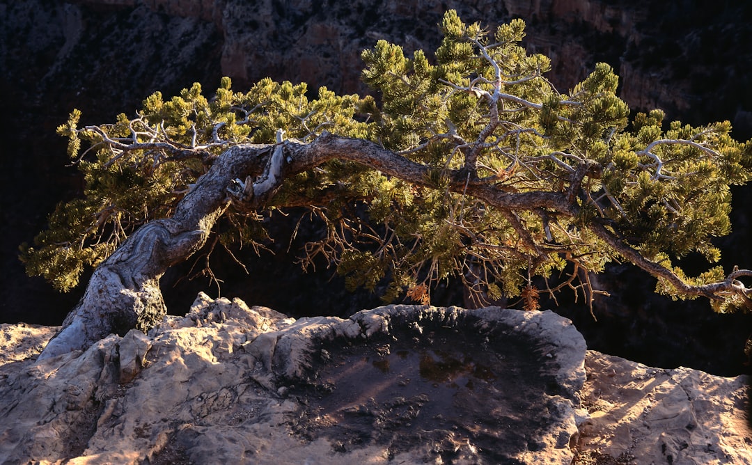 Breathtaking Sunsets at Mather Point, Grand Canyon - Grand Canyon Village | Secret World Trip Planner