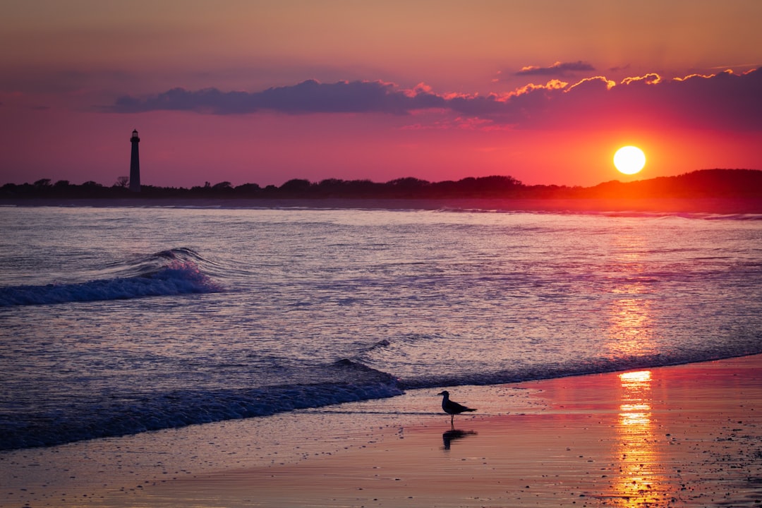 Le Phare de Cape May : Voyage dans le Temps et la Beauté - Cape May | Secret World Trip Planner