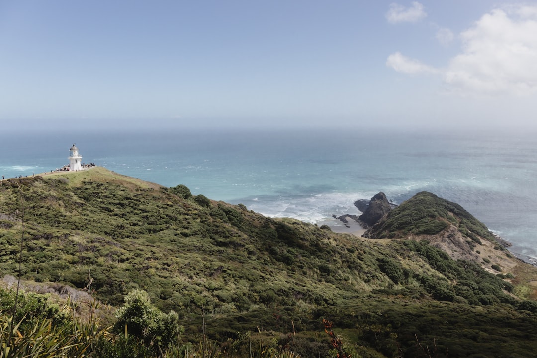 Faro di Cape Reinga: Dove i Mari si Incontrano - Capo Reinga 0484 | Secret World Trip Planner