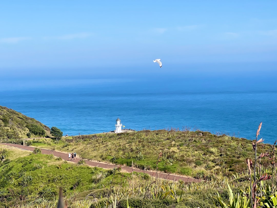 Cape Reinga Lighthouse: Where Seas Converge - Capo Reinga 0484 | Secret World Trip Planner