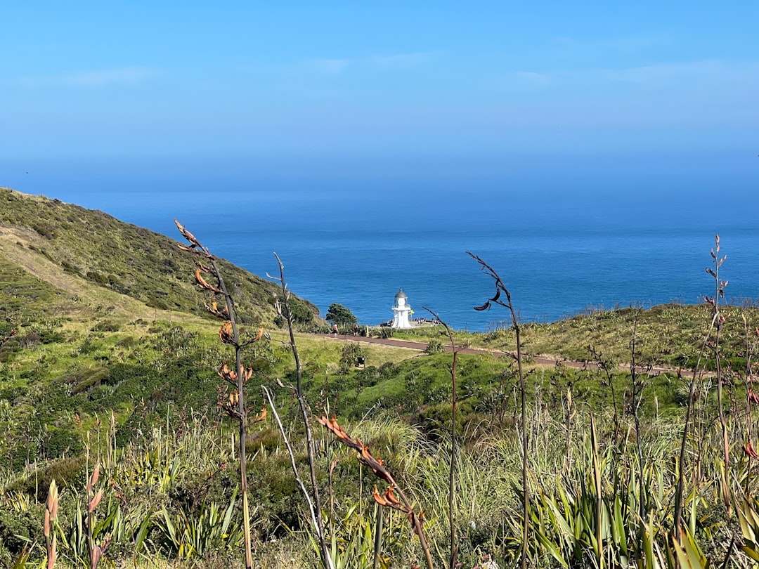 Cape Reinga Lighthouse: Where Seas Converge - Capo Reinga 0484 | Secret World Trip Planner