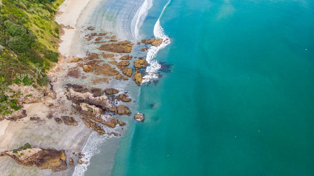 Spiagge da Sogno: L'Isola Waiheke in Nuova Zelanda - Isola Waiheke | Secret World Trip Planner