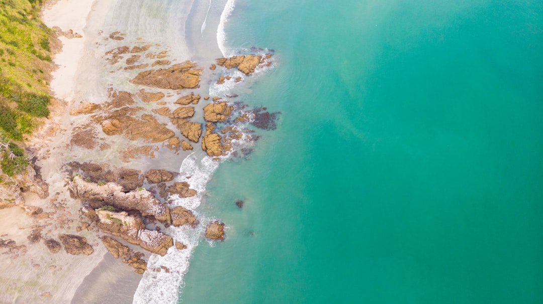 Spiagge da Sogno: L'Isola Waiheke in Nuova Zelanda - Isola Waiheke | Secret World Trip Planner