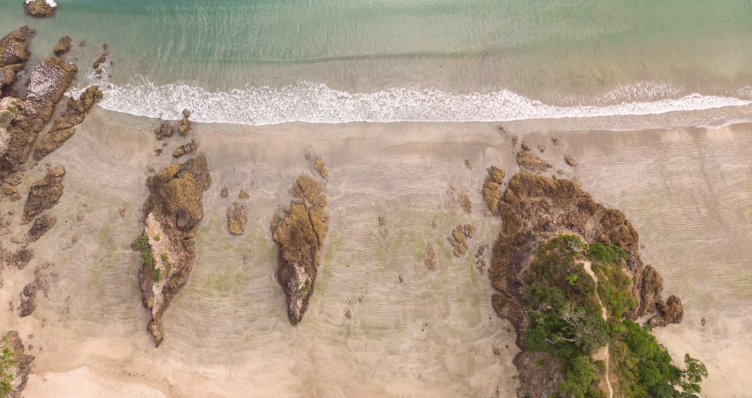 Spiagge da Sogno: L'Isola Waiheke in Nuova Zelanda - Isola Waiheke | Secret World Trip Planner