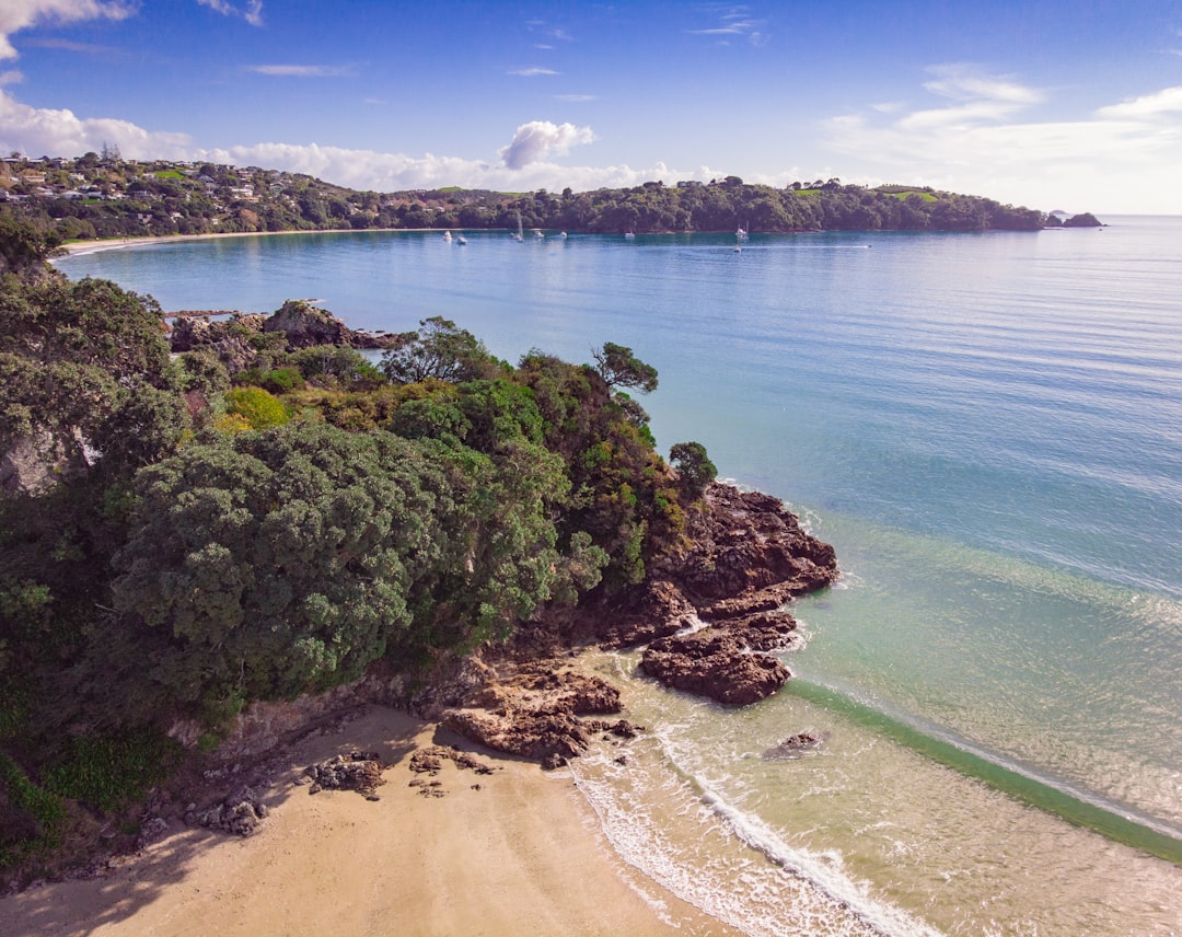 Spiagge da Sogno: L'Isola Waiheke in Nuova Zelanda - Isola Waiheke | Secret World Trip Planner