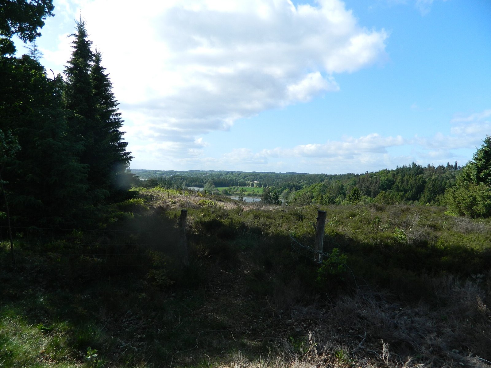 Sukkertoppen: A Natural Gem of Denmark - 2MQG+CM Skanderborg | Secret World Trip Planner