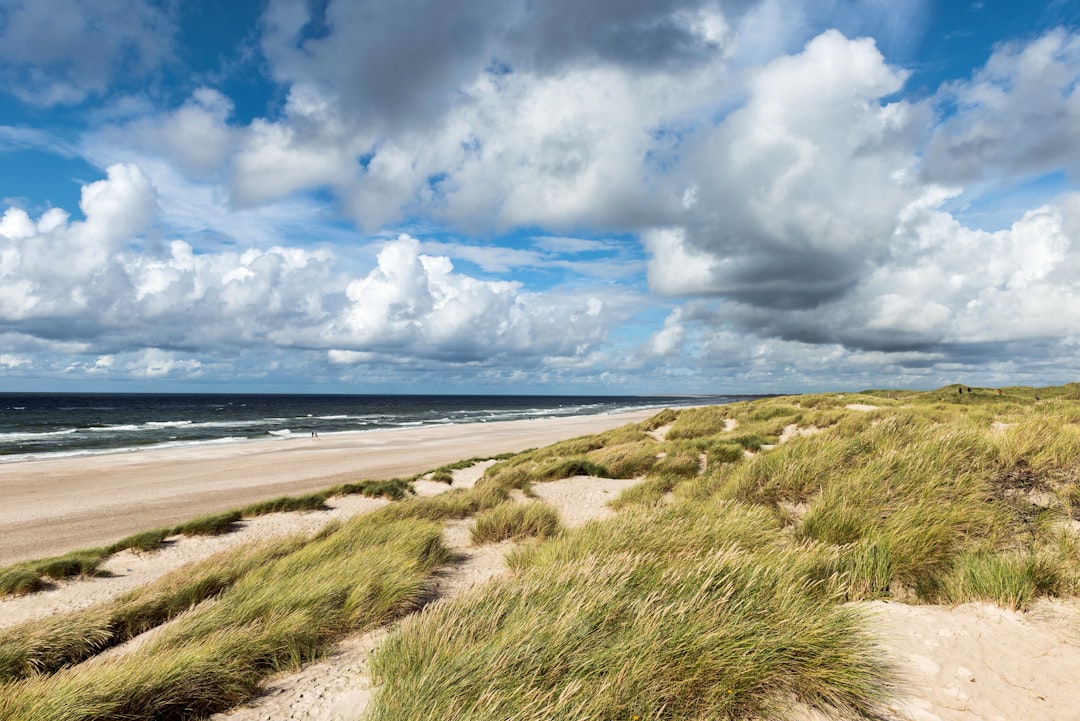 Ravnebjerg: un angolo di natura in Danimarca - Hovedvejen 87 | Secret World Trip Planner