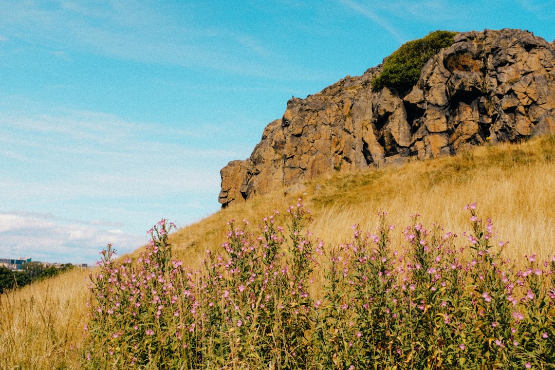 Arthur's Seat: o vulcão extinto de Edimburgo para explorar - WRVQ+J7 Edinburgh | Secret World Trip Planner