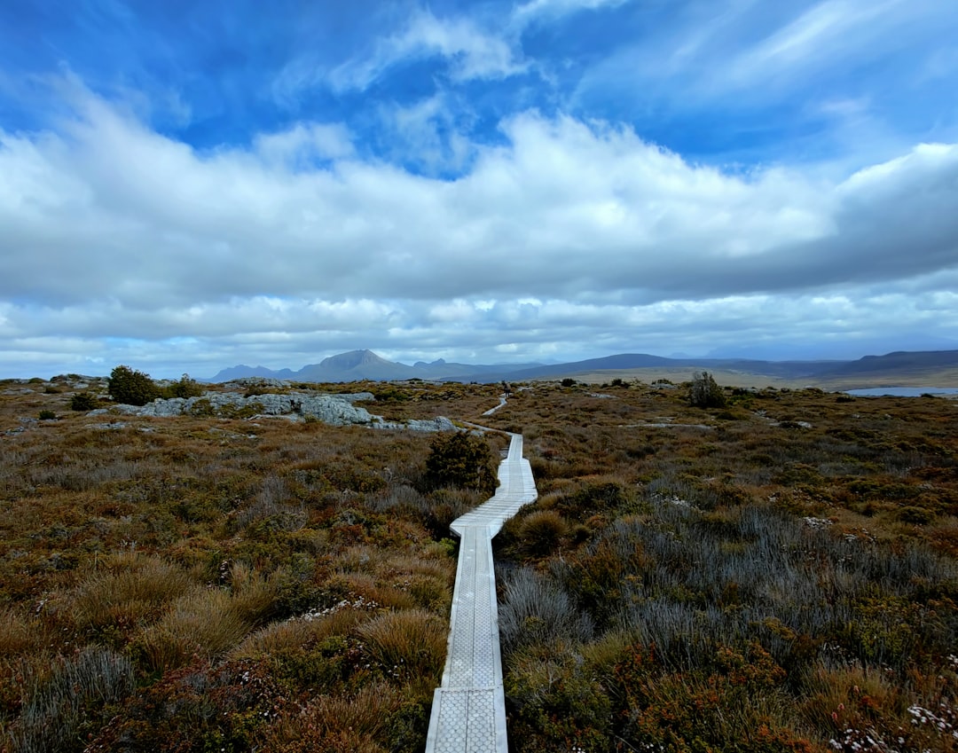 Scoprire l'Overland Track: Avventura nella Wilderness Tasmaniana — Overland Track