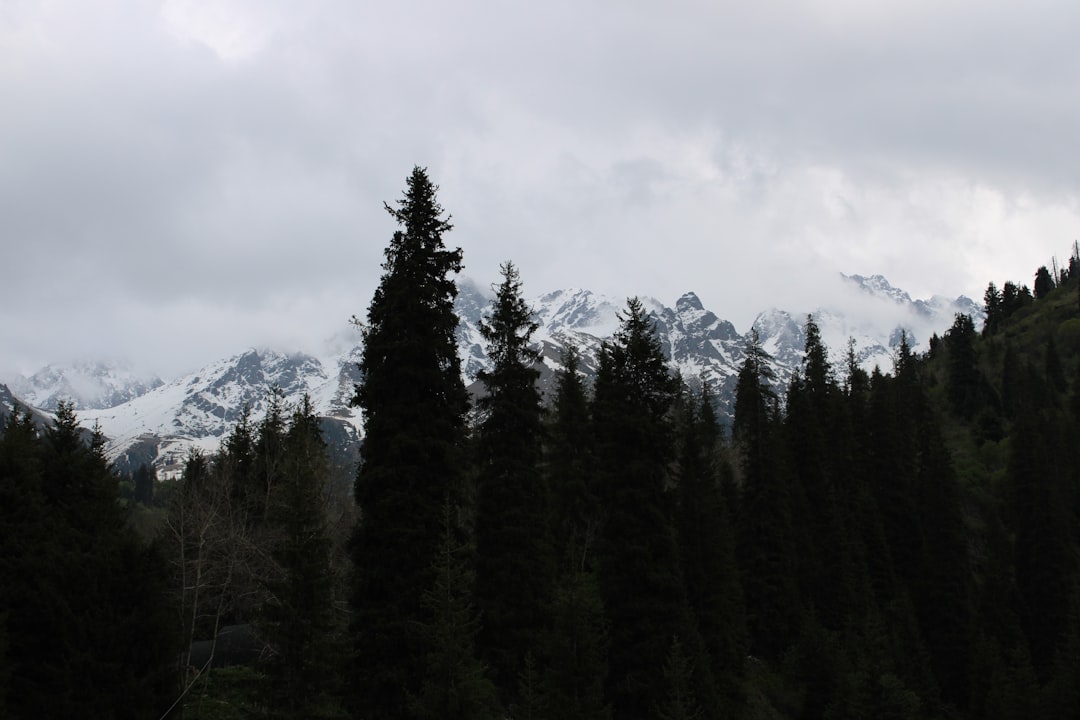 Scoprire Almaty: Il Mercato Verde e le sue Meraviglie - Almaty | Secret World Trip Planner