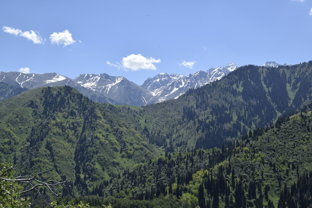 Descubre Almaty: El Mercado Verde y sus Maravillas - Almaty | Secret World Trip Planner